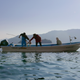 Gathering seaweed in Japan.